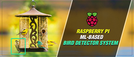 Raspberry Pi ML-Based Bird Detector System