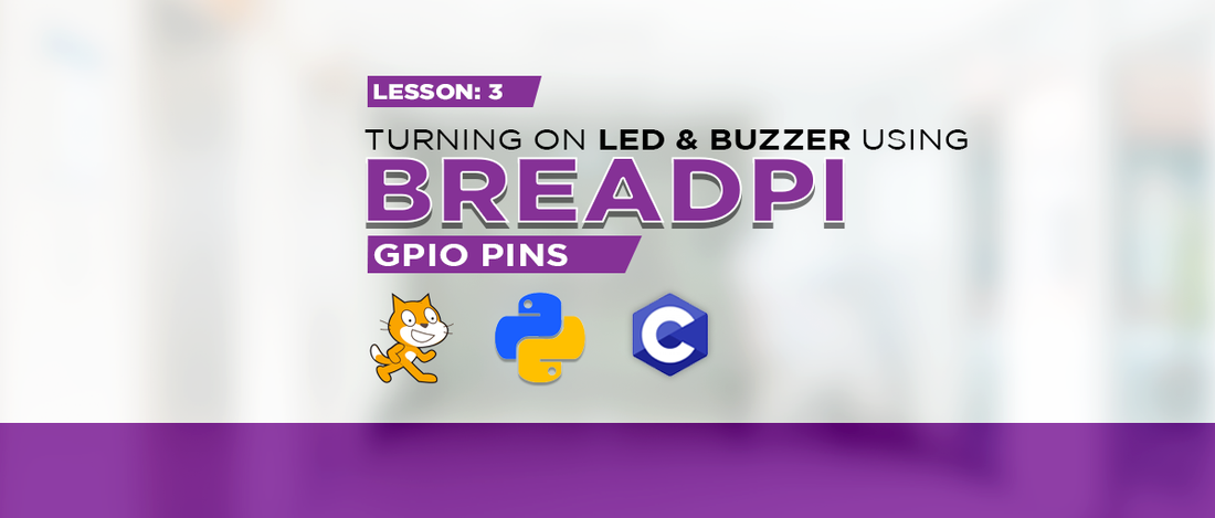 Lesson 3- GPIO Pins