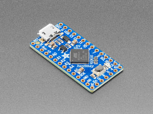 Adafruit ItsyBitsy 32u4 - 5V 16MHz