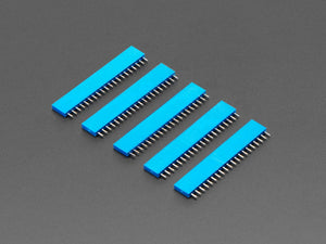 20-pin 0.1" Female Header - Blue - 5 pack