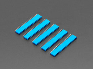 20-pin 0.1" Female Header - Blue - 5 pack