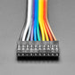 2.54mm 0.1" Pitch 10-pin Jumper Cable - 20cm Long