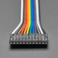 2.54mm 0.1" Pitch 12-pin Jumper Cable - 20cm Long