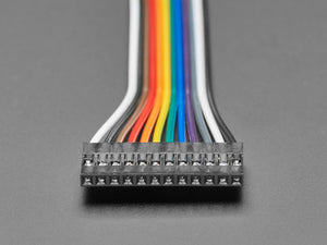 2.54mm 0.1" Pitch 12-pin Jumper Cable - 20cm Long