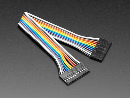 2.54mm 0.1" Pitch 12-pin Jumper Cable - 20cm Long