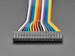 2.54mm 0.1" Pitch 18-pin Jumper Cable - 20cm Long