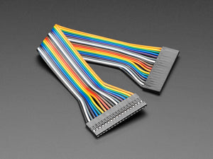 2.54mm 0.1" Pitch 18-pin Jumper Cable - 20cm Long