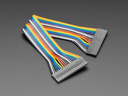 2.54mm 0.1" Pitch 18-pin Jumper Cable - 20cm Long