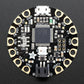 FLORA - Wearable Electronic Platform