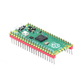 Raspberry Pi Pico Board with Soldered Header